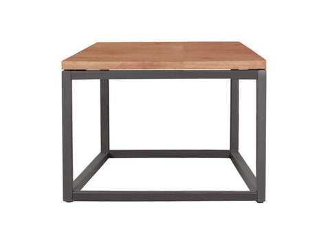 Mountain Teak and Metal End Table - Moe's Home Collection